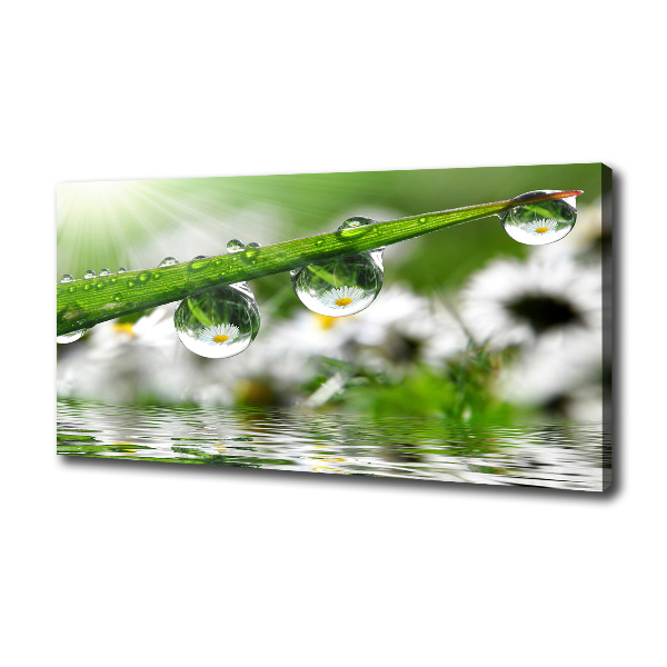 Canvas wall art Drops on the grass