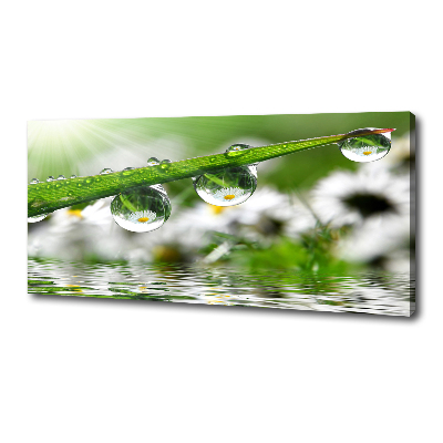 Canvas wall art Drops on the grass