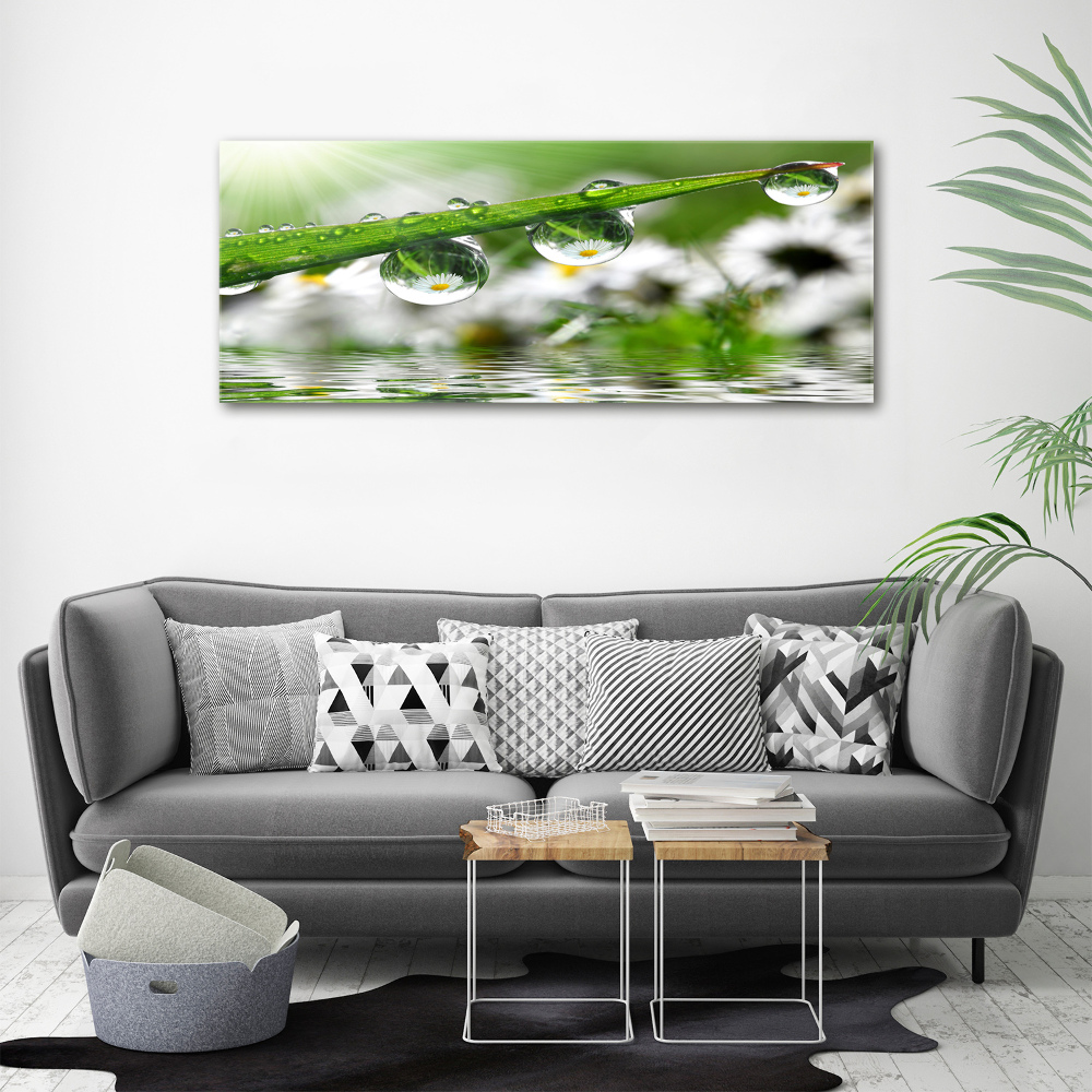 Canvas wall art Drops on the grass