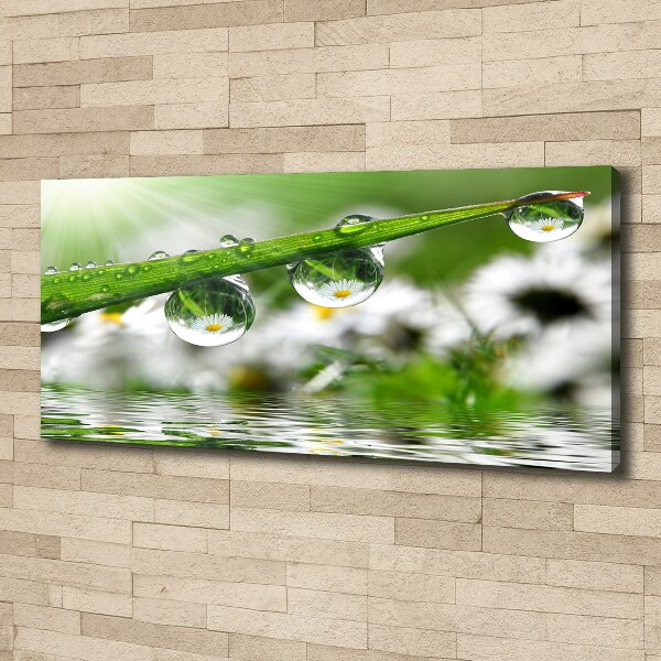 Canvas wall art Drops on the grass