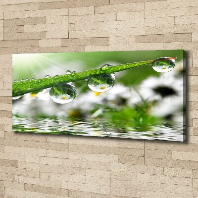 Canvas wall art Drops on the grass