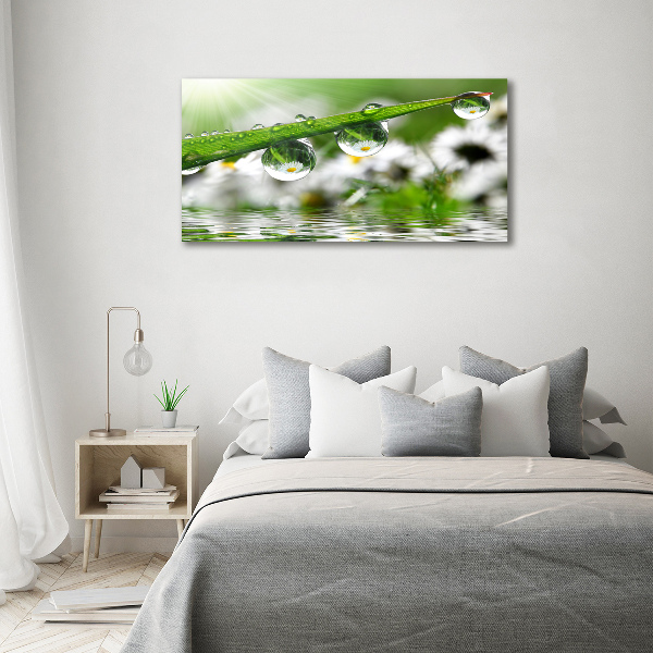 Canvas wall art Drops on the grass