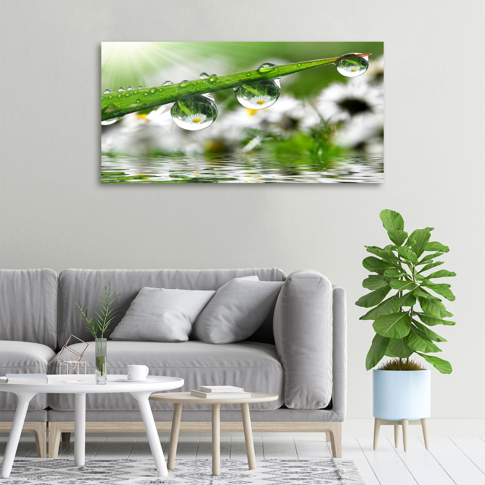 Canvas wall art Drops on the grass