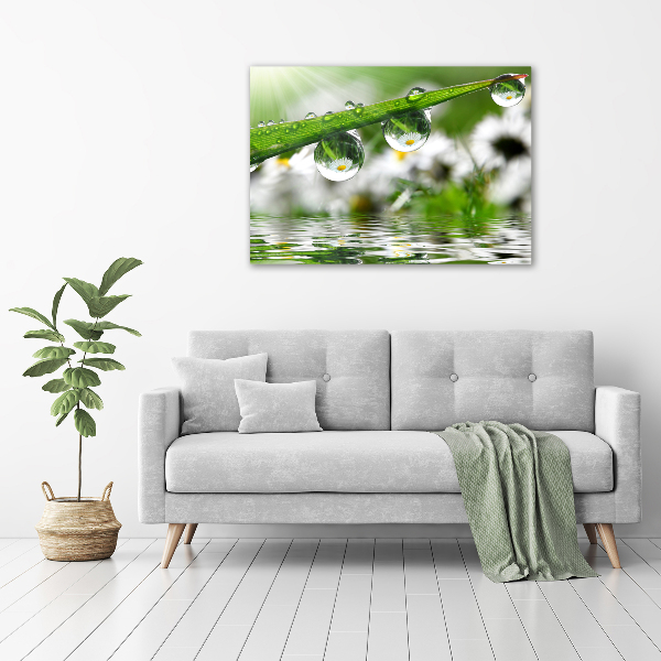 Canvas wall art Drops on the grass