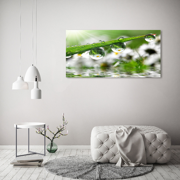 Canvas wall art Drops on the grass