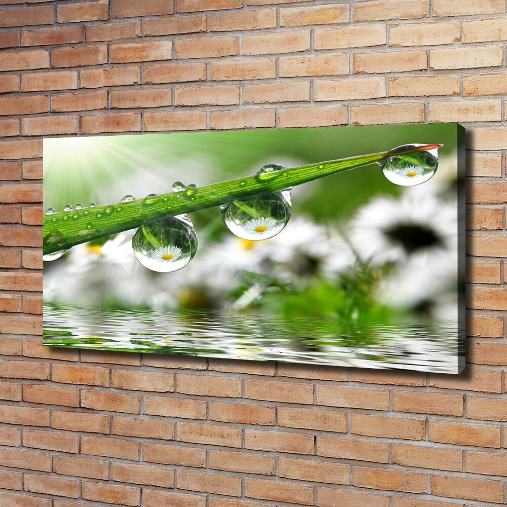 Canvas wall art Drops on the grass