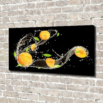 Canvas wall art Apricots and water