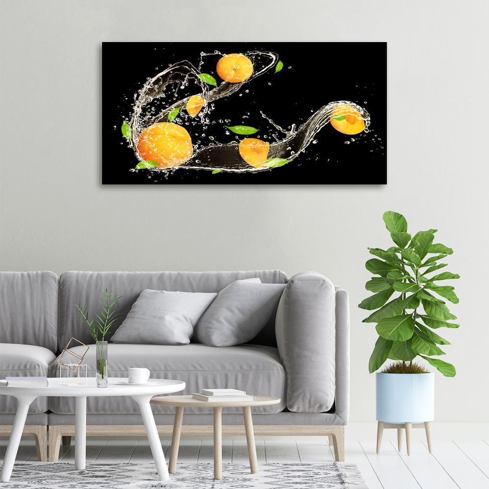 Canvas wall art Apricots and water