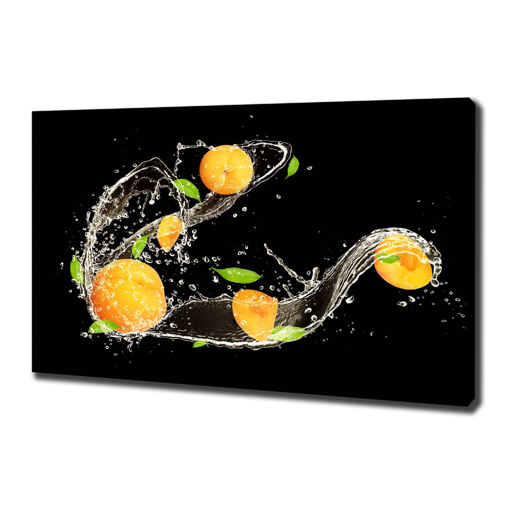 Canvas wall art Apricots and water