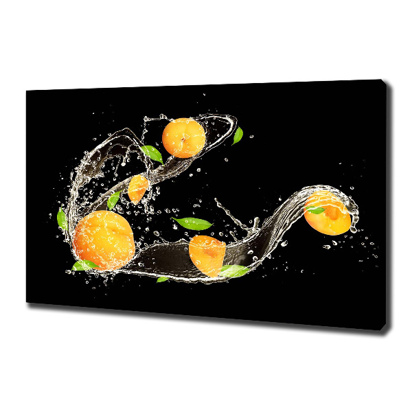 Canvas wall art Apricots and water