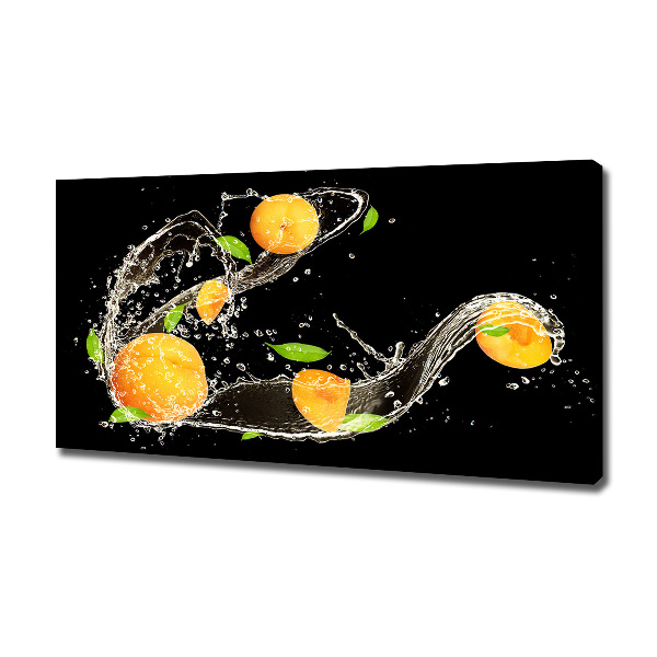 Canvas wall art Apricots and water