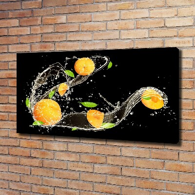 Canvas wall art Apricots and water