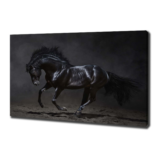 Wall art canvas large Black Horse