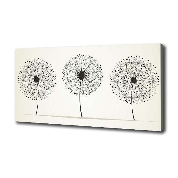 Canvas wall art dandelions