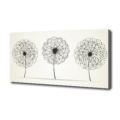 Canvas wall art dandelions