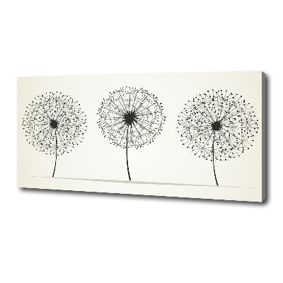 Canvas wall art dandelions