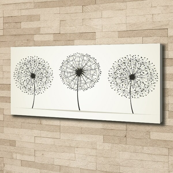 Canvas wall art dandelions