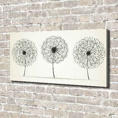 Canvas wall art dandelions