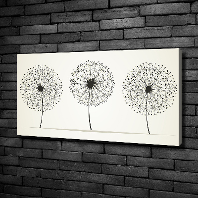 Canvas wall art dandelions