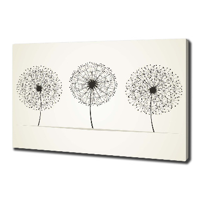 Canvas wall art dandelions