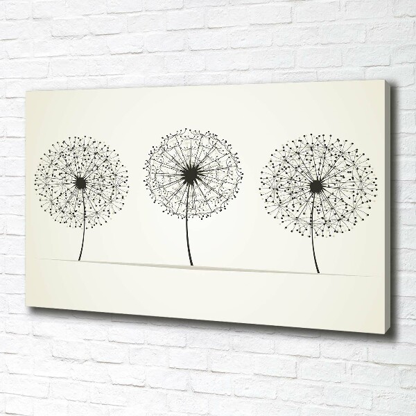 Canvas wall art dandelions