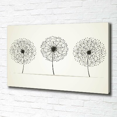 Canvas wall art dandelions