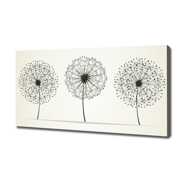 Canvas wall art dandelions