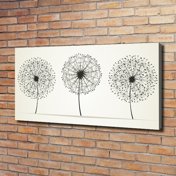 Canvas wall art dandelions