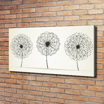 Canvas wall art dandelions