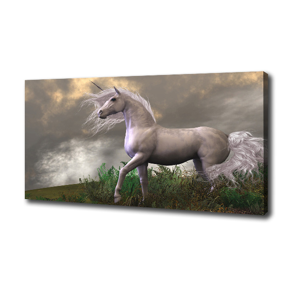 Canvas wall art Gray unicorn