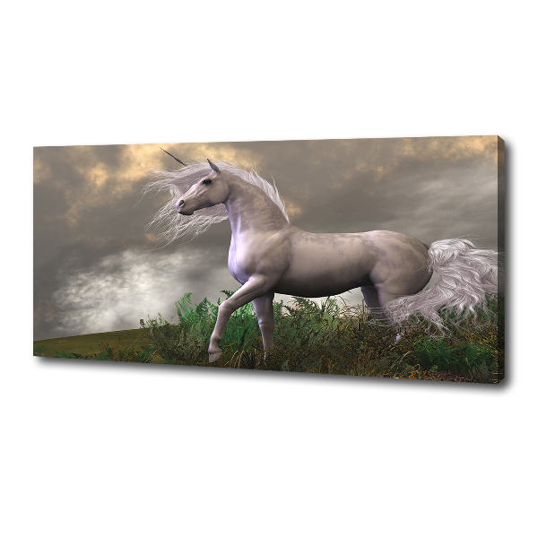 Canvas wall art Gray unicorn