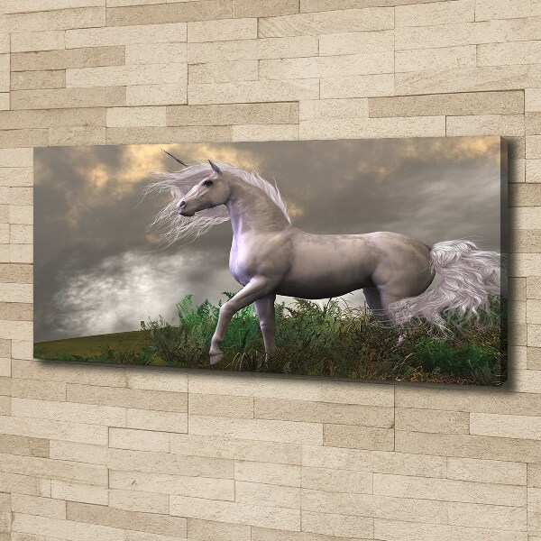 Canvas wall art Gray unicorn