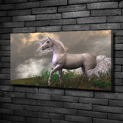 Canvas wall art Gray unicorn