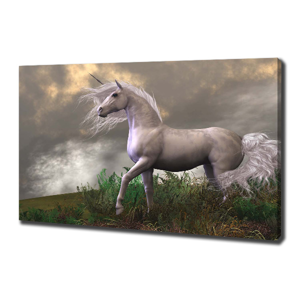 Canvas wall art Gray unicorn