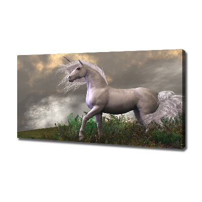 Canvas wall art Gray unicorn