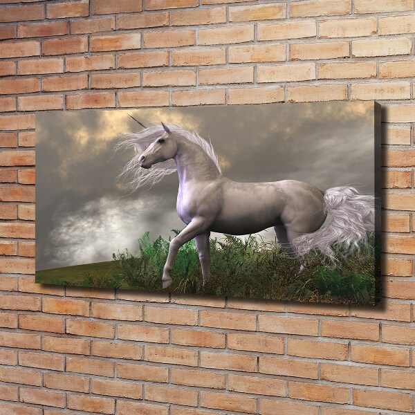 Canvas wall art Gray unicorn