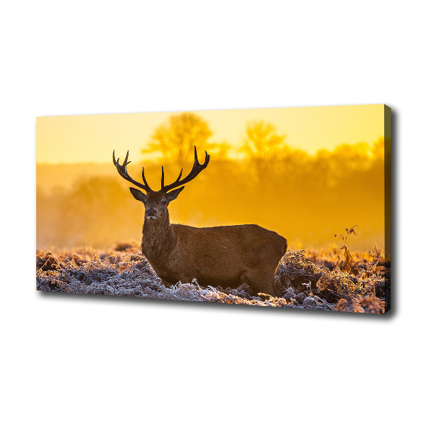 Canvas wall art Deer sunrise