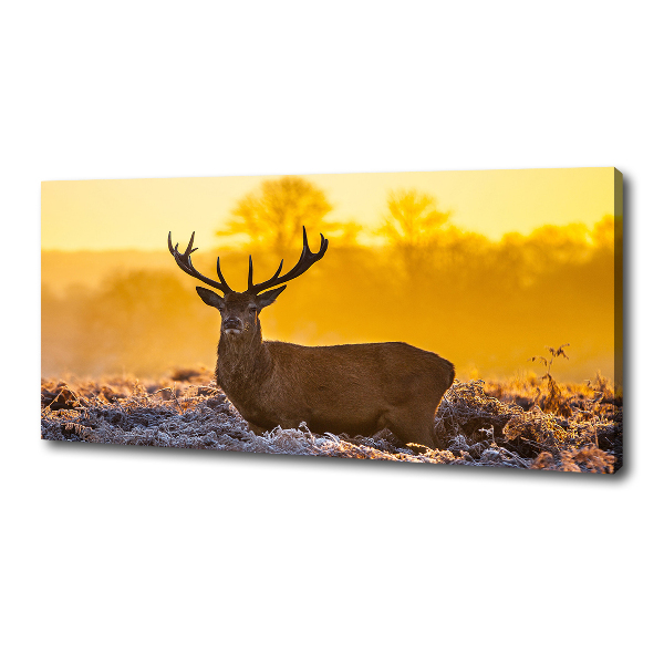 Canvas wall art Deer sunrise