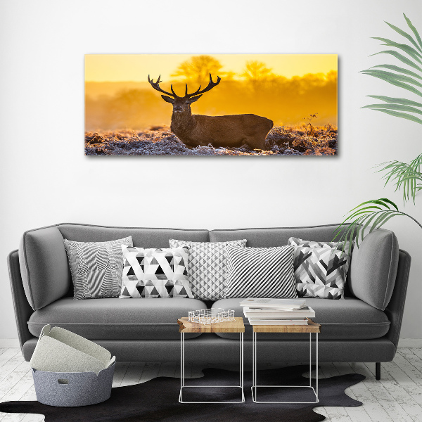 Canvas wall art Deer sunrise