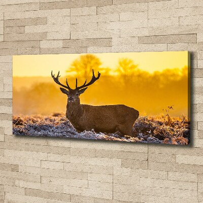 Canvas wall art Deer sunrise