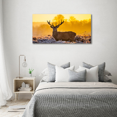 Canvas wall art Deer sunrise