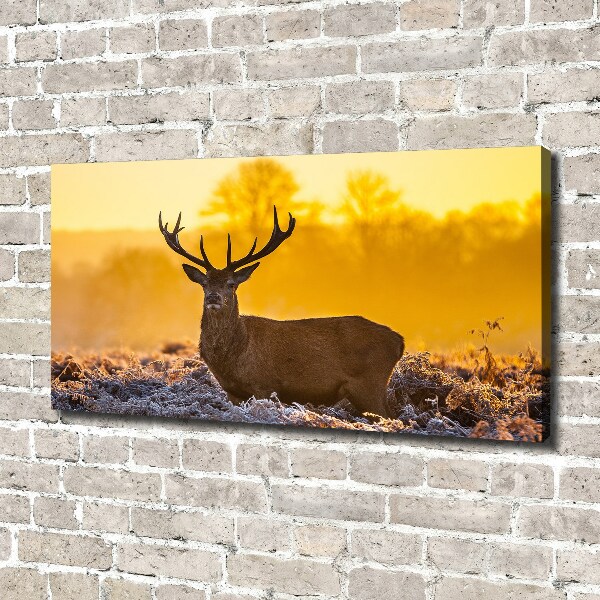 Canvas wall art Deer sunrise