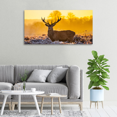 Canvas wall art Deer sunrise