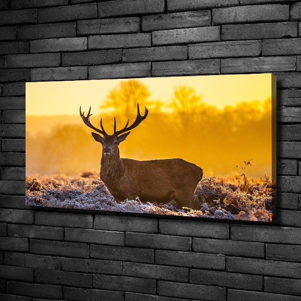 Canvas wall art Deer sunrise