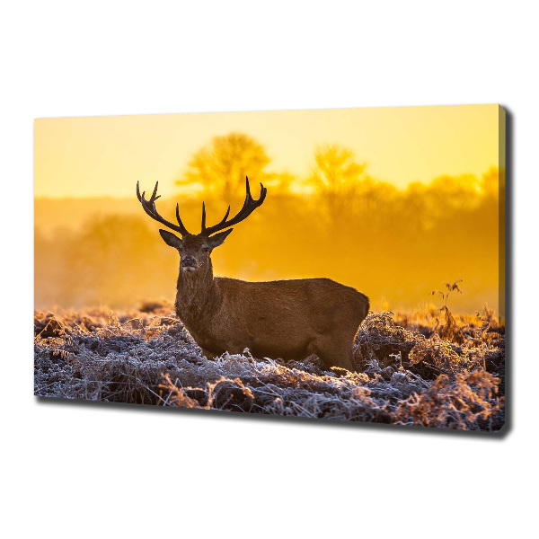 Canvas wall art Deer sunrise