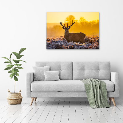 Canvas wall art Deer sunrise