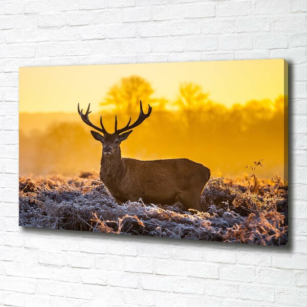 Canvas wall art Deer sunrise