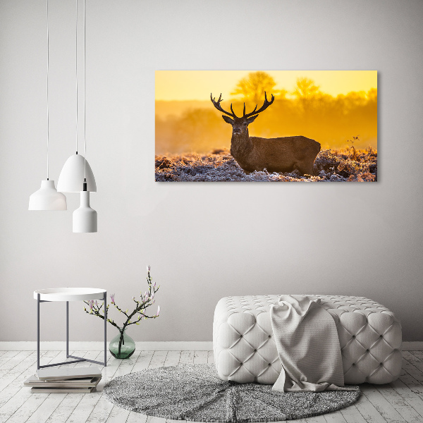 Canvas wall art Deer sunrise