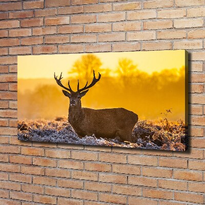 Canvas wall art Deer sunrise