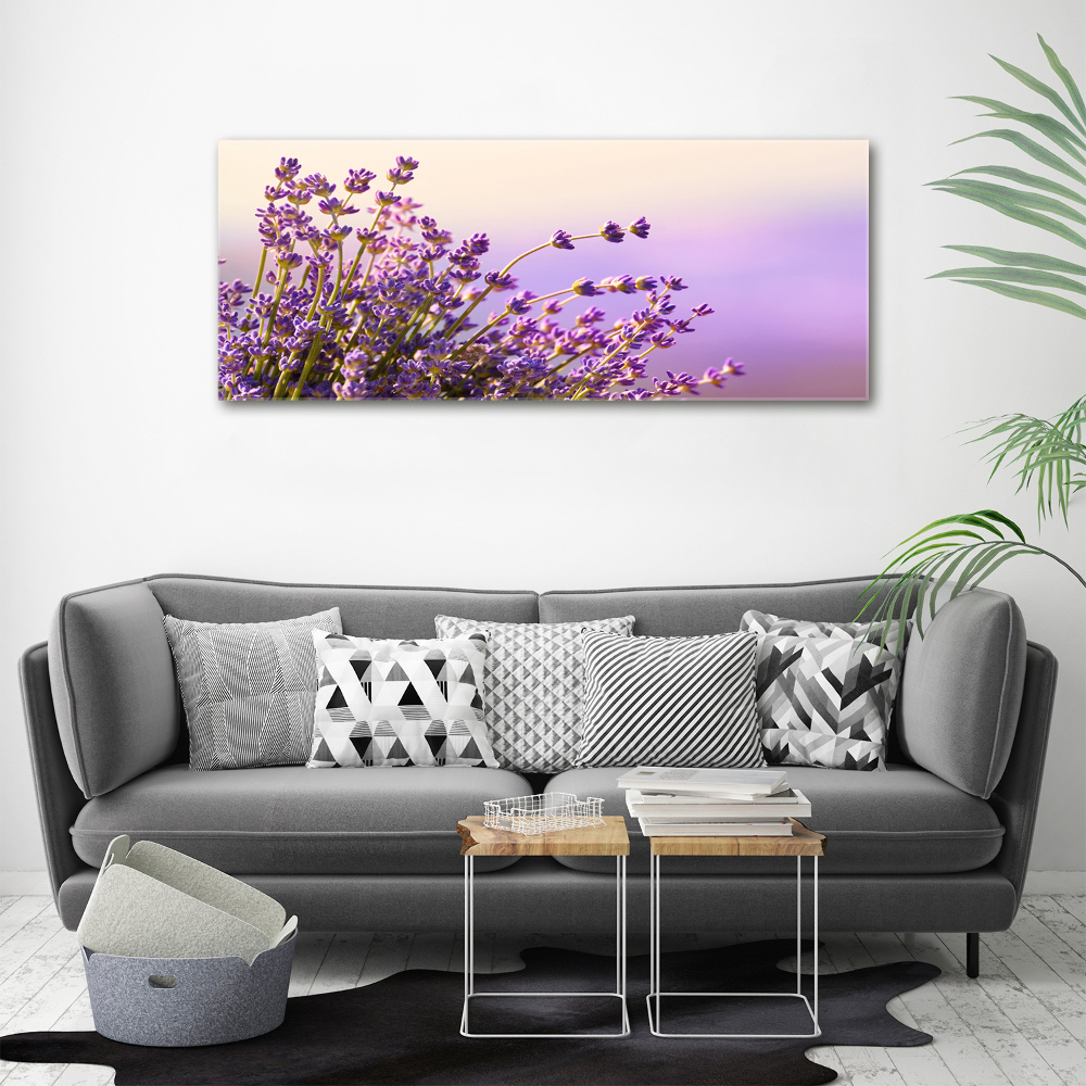 Canvas wall art Lavender